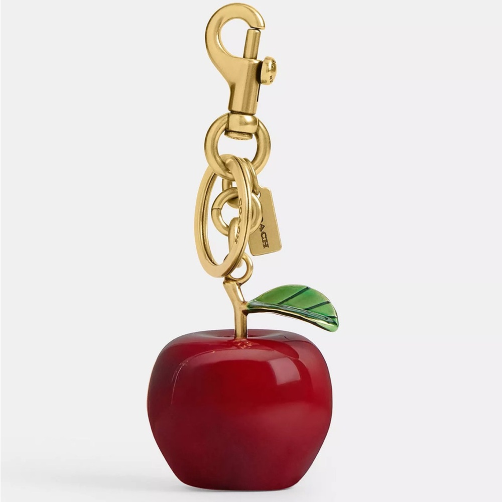 NWT Coach Small Apple Bag Charm with a dust bag CY399
